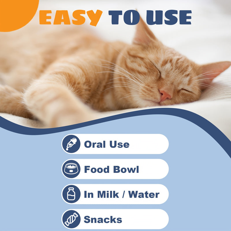 Suplemento L-Lisina Líquido para Gatos – 60ml | Apoio Respiratório, Ocular e Imunitário | Fórmula Saborosa e Fácil de Administrar