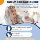 Suplemento L-Lisina Líquido para Gatos – 60ml | Apoio Respiratório, Ocular e Imunitário | Fórmula Saborosa e Fácil de Administrar